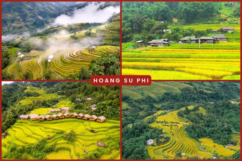 Hoang Su Phi Terraced fields in Vietnam